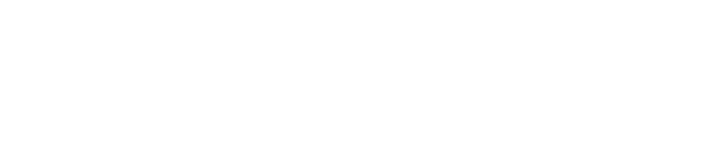 Manweir LLC